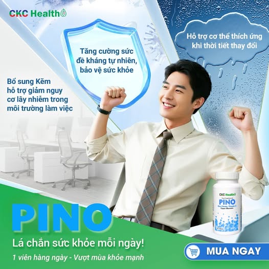 PINO – “LÁ CHẮN” SỨC KHỎE CHO DÂN VĂN PHÒNG